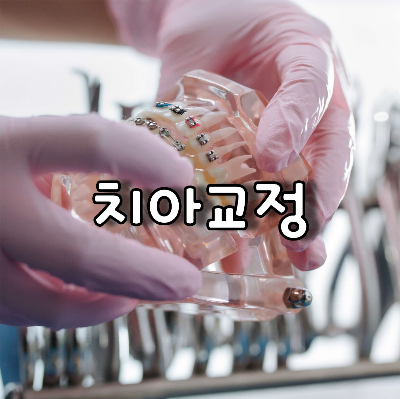 치아교정샘플