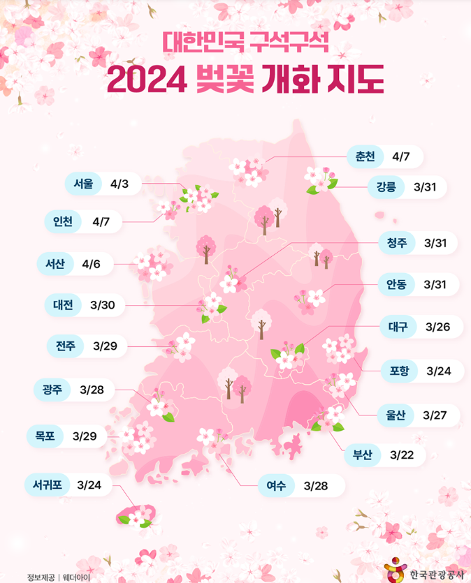 벚꽃개화시기