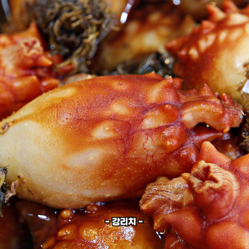 멍게 효능