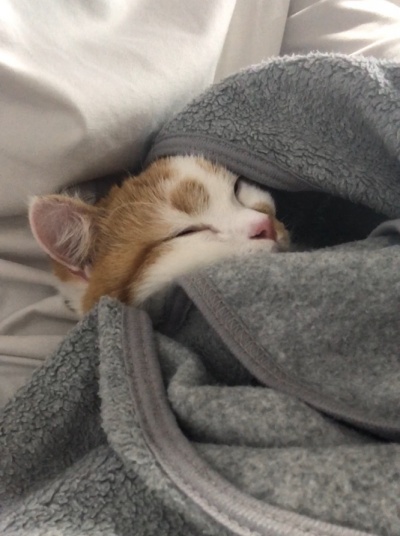 성묘