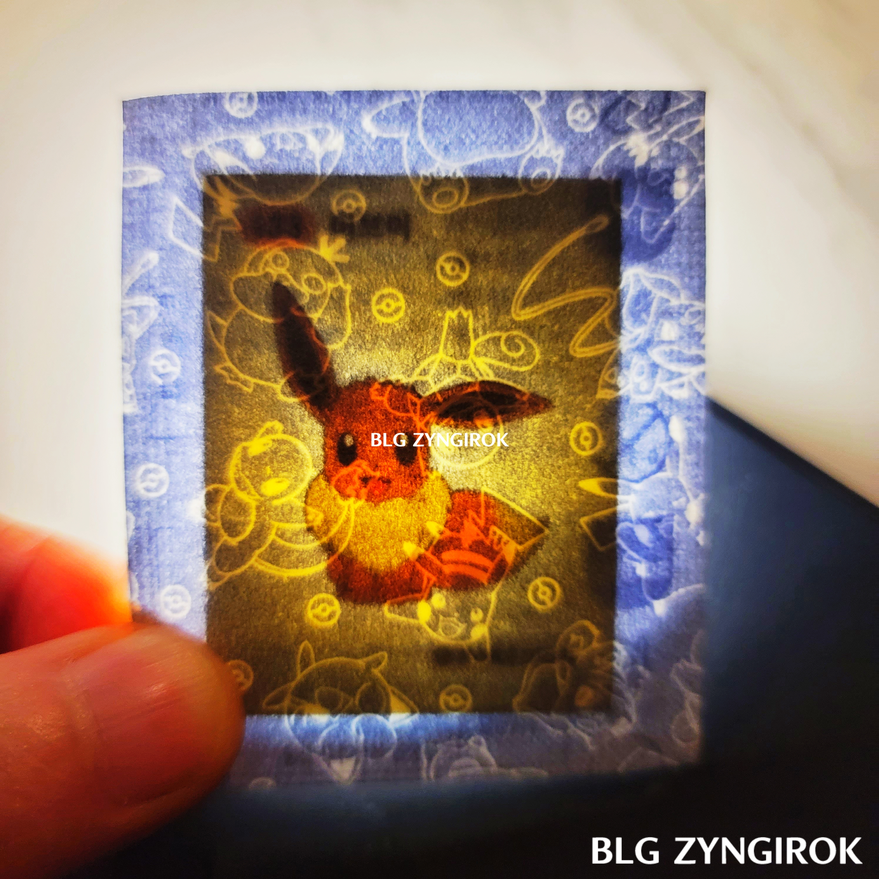 띠부띠부씰-이브이를-들고있다.