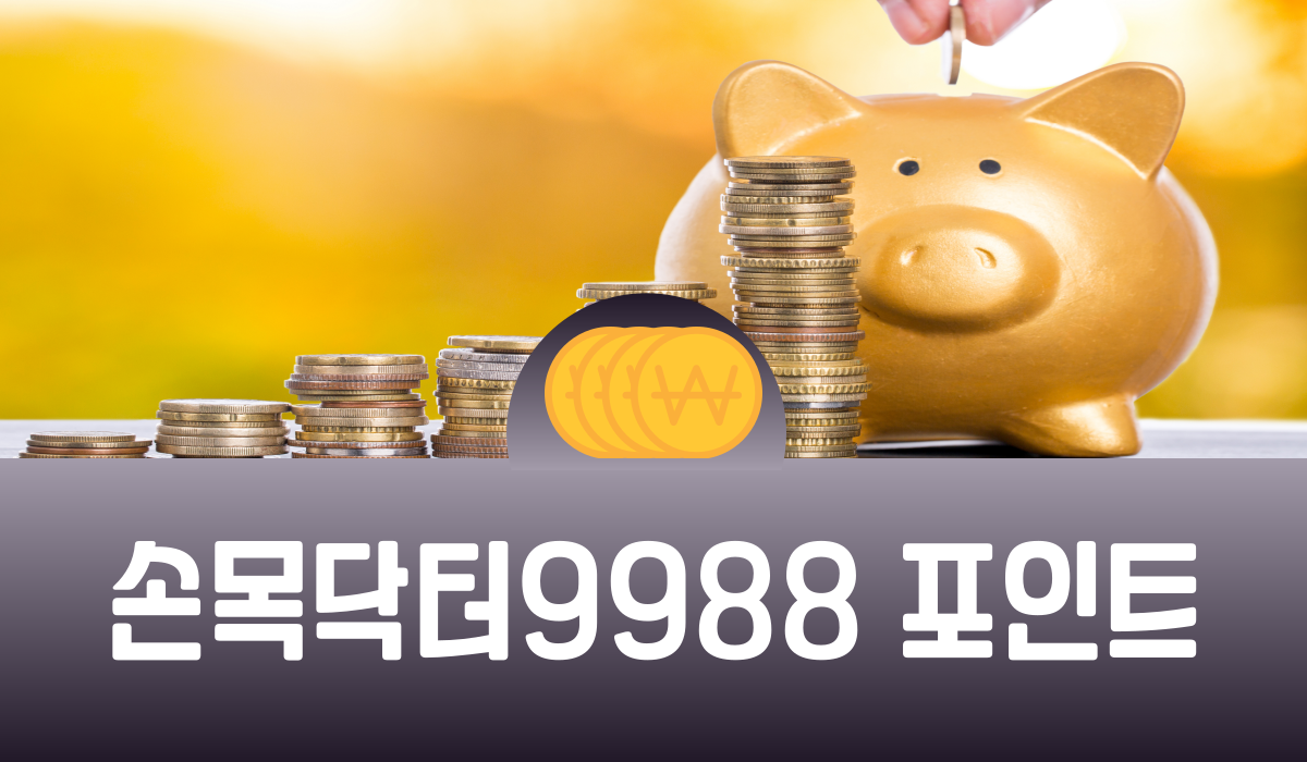 손목닥터9988 포인트