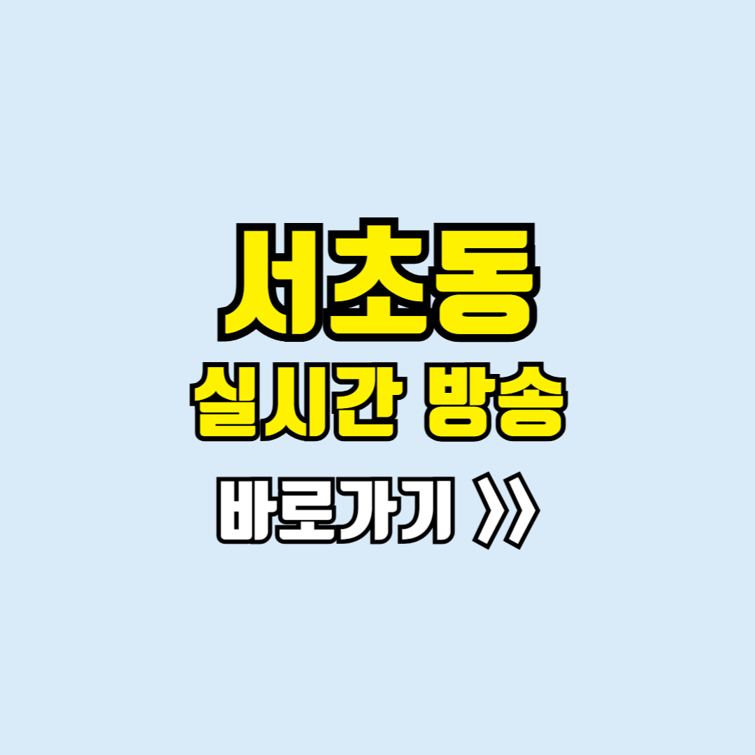 서초동 실시간방송
