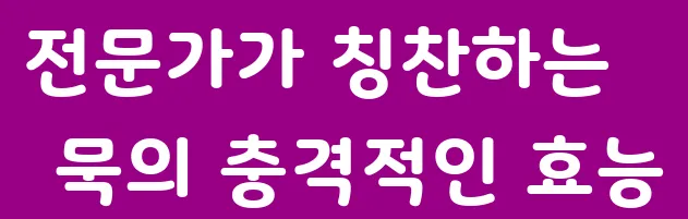 전문가가 칭찬하는 묵의 충격적인 효능