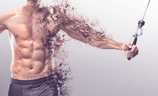 근육손실 이미지