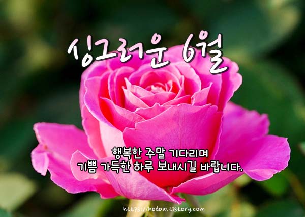 기쁨이미지