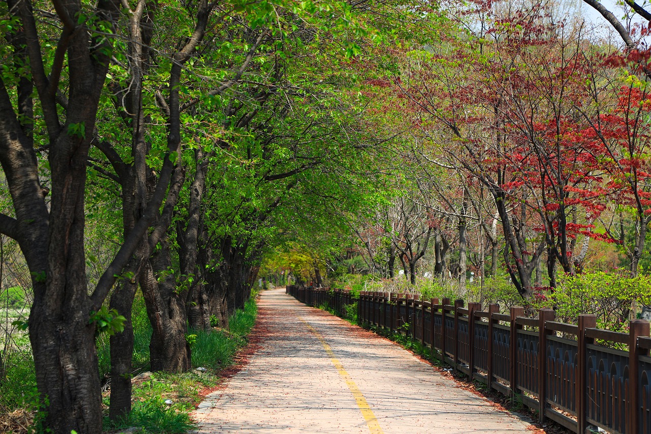 여름 캠핑장 가는길