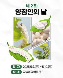 양잠인의 날 기념! 피부에 좋은 천연 실크이불, 왜 특별할까요?