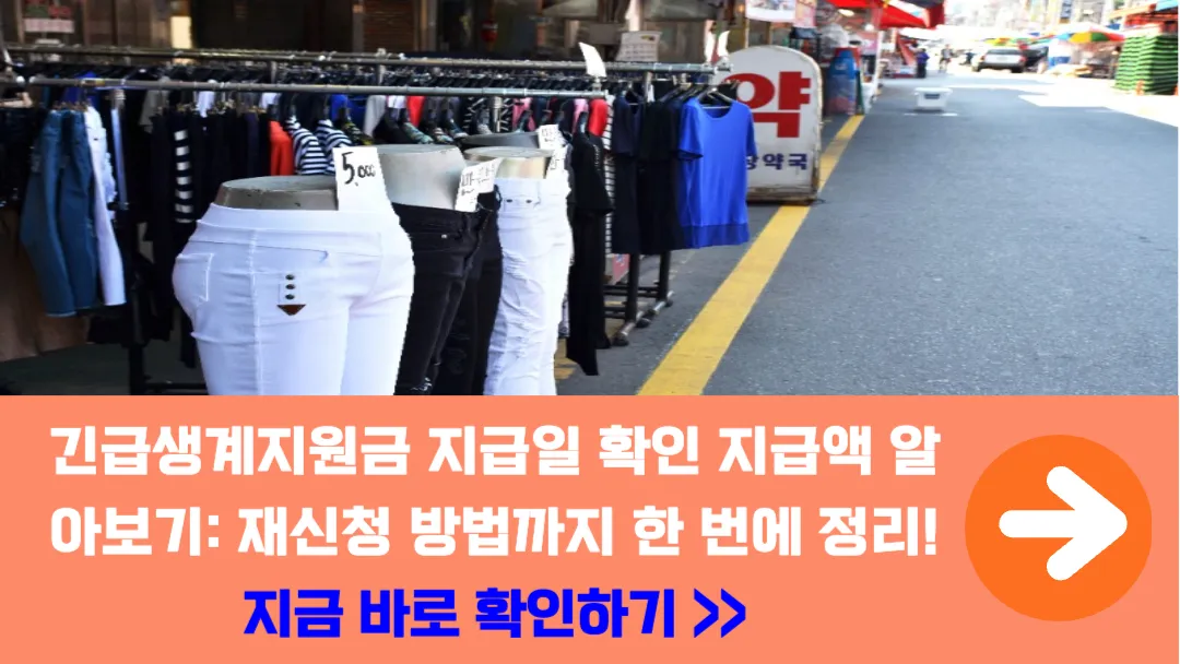 긴급생계지원금-지급일-확인-지급액-재신청-방법