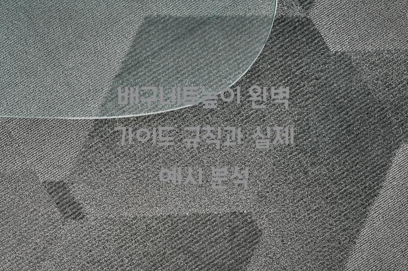 배구네트높이