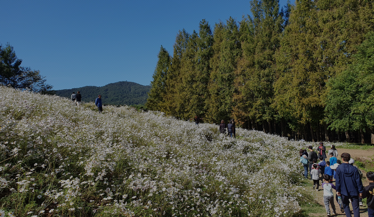무등산 생태탐방원 전경