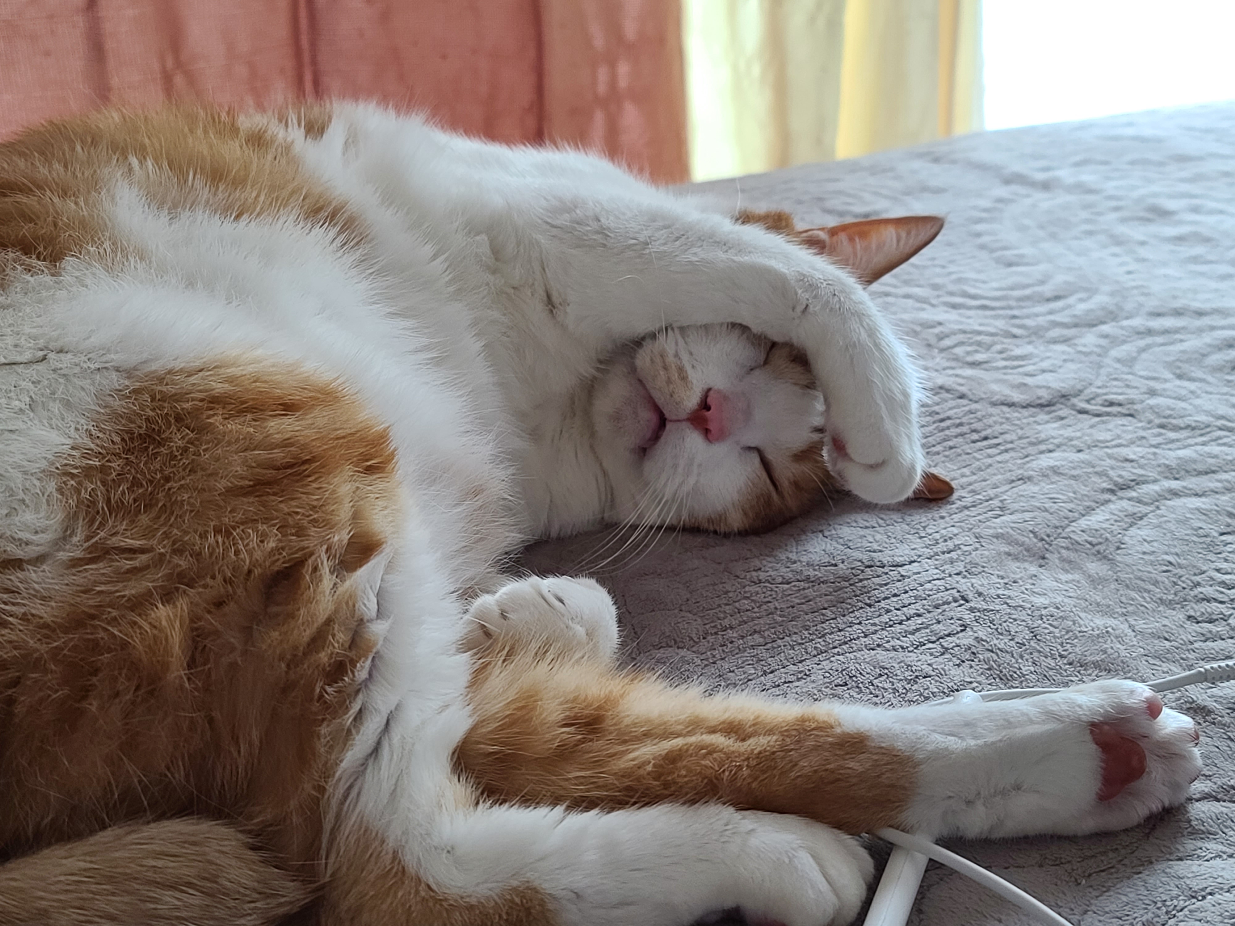 힘든 월요일은 막둥이의 귀여움으로 극복!