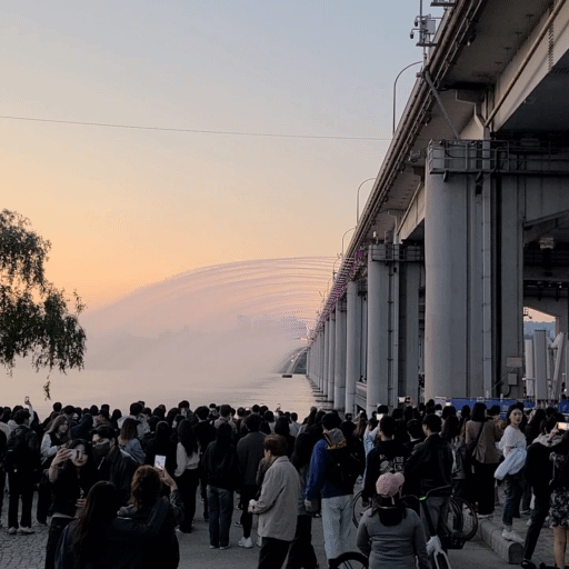한강 달빛 야시장 가는길
