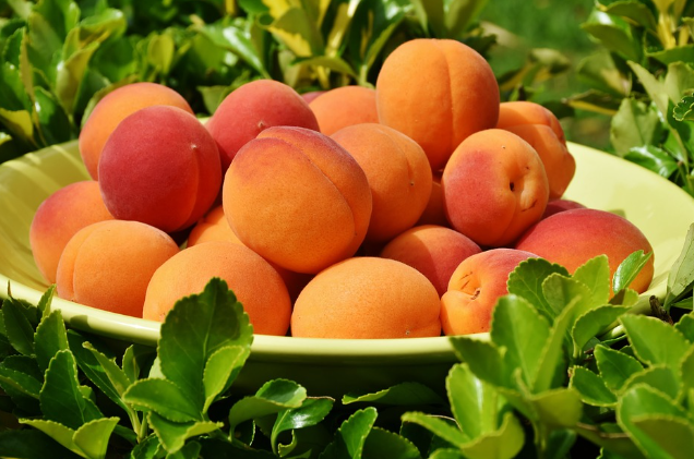 밤에 먹기 좋은 과일