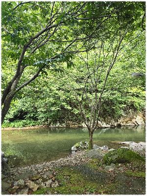중대리계곡