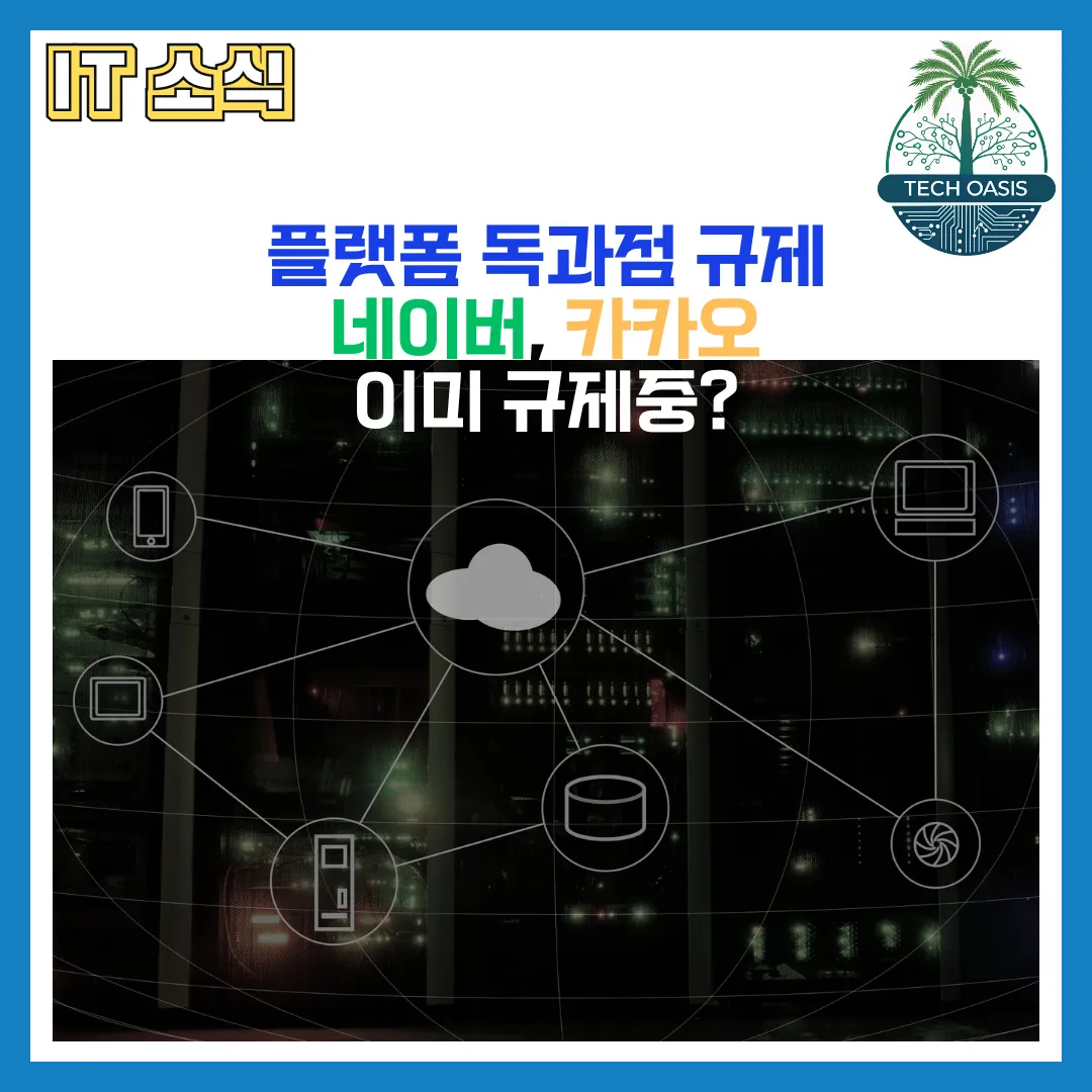 플랫폼 독과점 규제