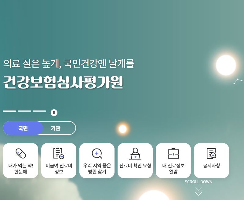 건강보험심사평가원 사이트