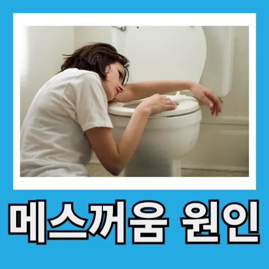 메스꺼움 구토 원인