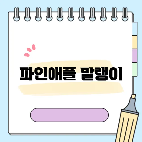 파인애플 말랭이