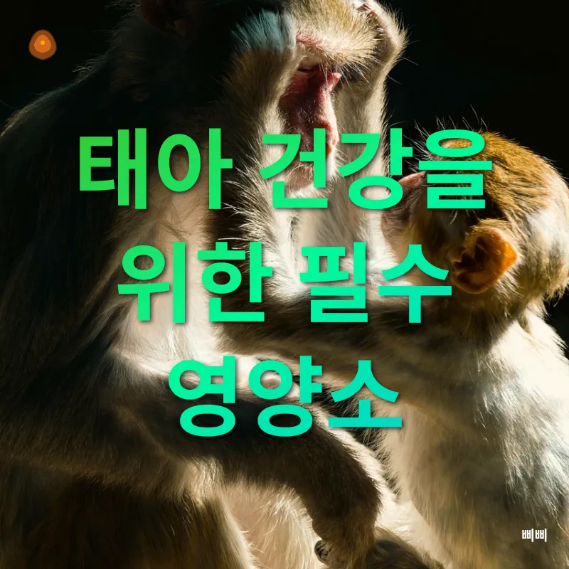 임산부 건강 관리_1
