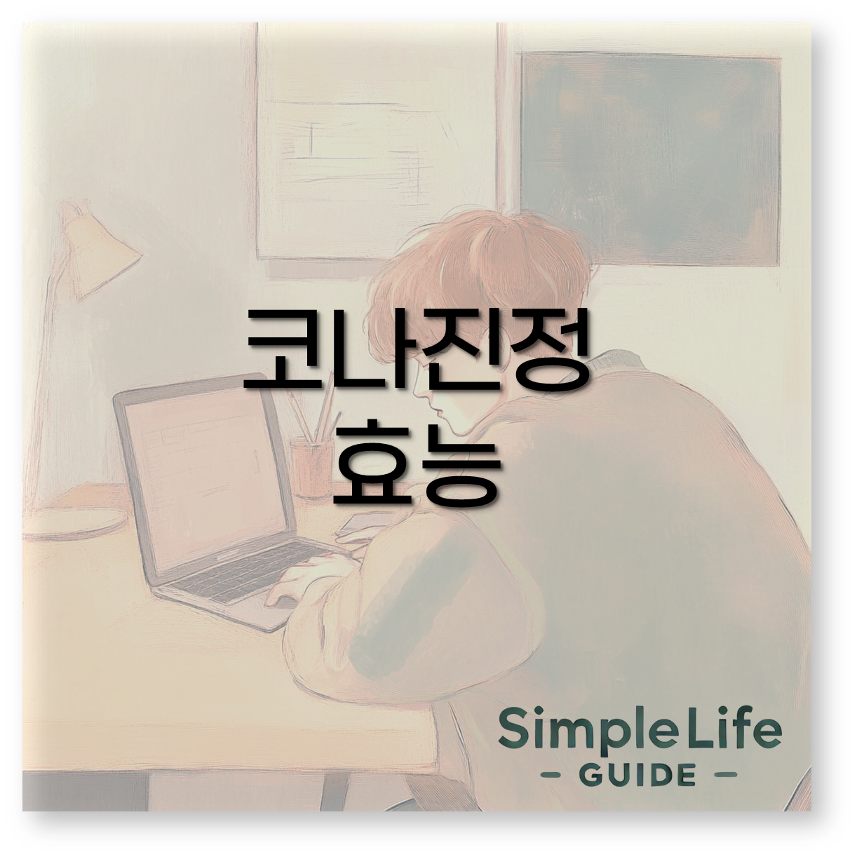 코나진정 효능1