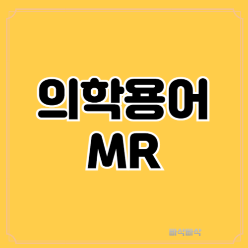 의학용어 MR : Mitral Regurgitation 승모판 폐쇄부전의 이해