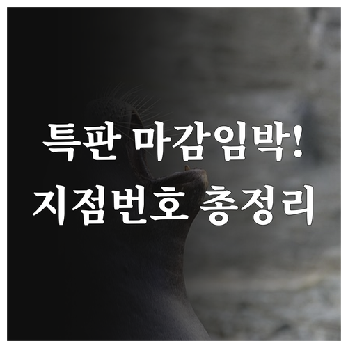 새마을금고 예적금 특판 확인을 위한 ..