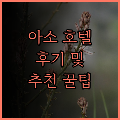 아소 리조트 그랜드브리오 호텔, 잊지
