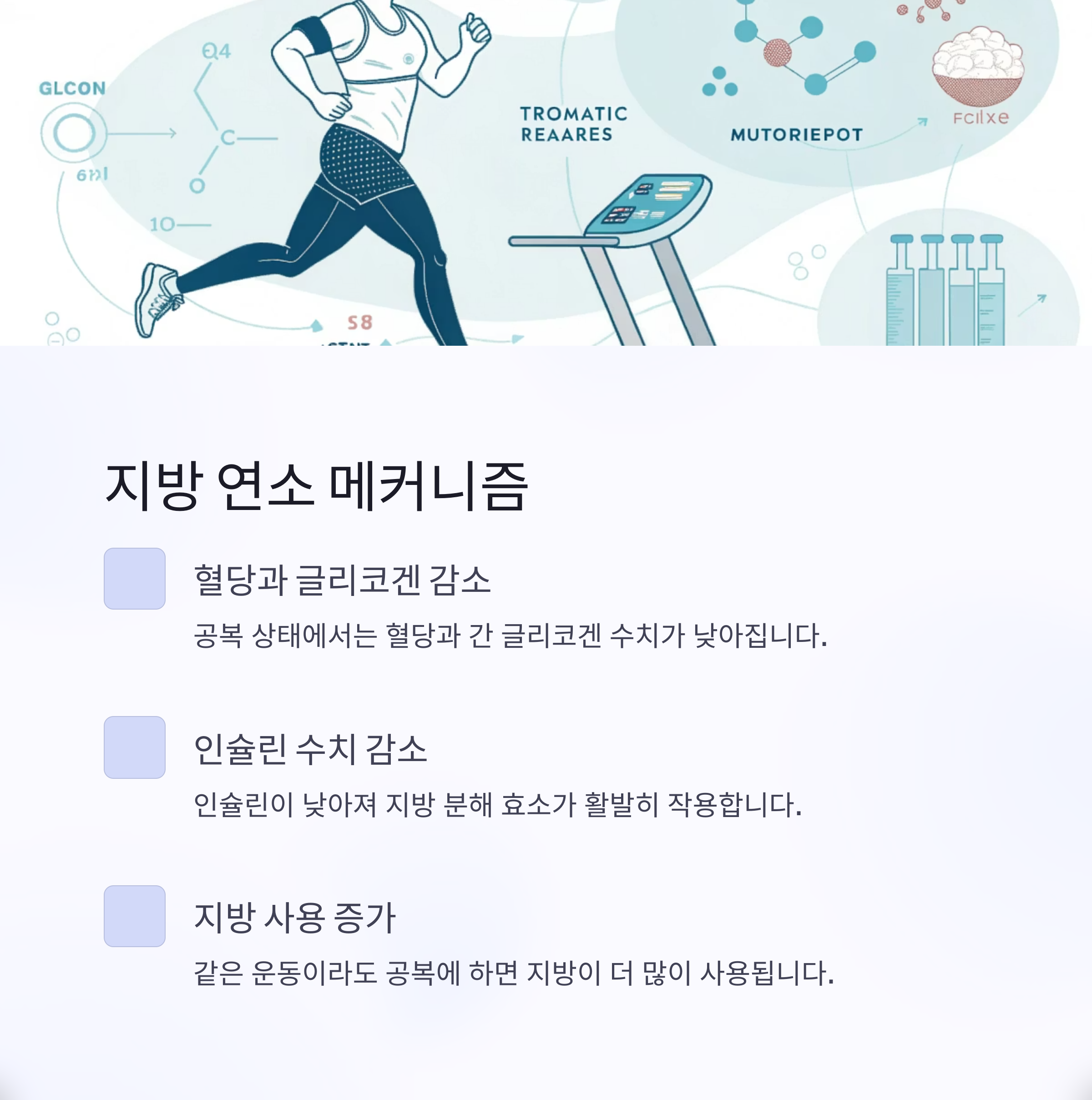 지방 연소 메커니즘