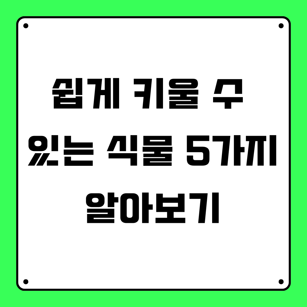 쉽게 키울 수 있는 식물 5가지