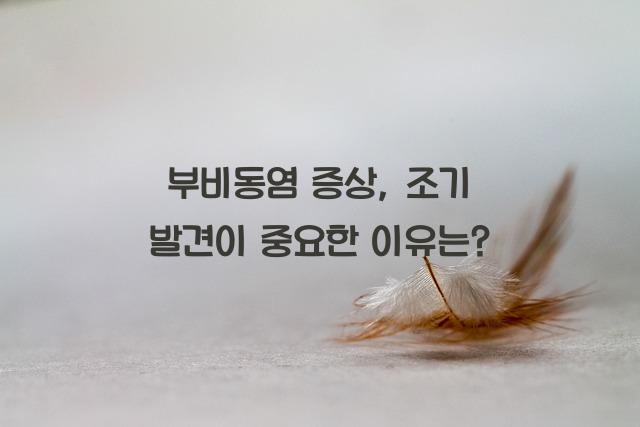 부비동염 증상