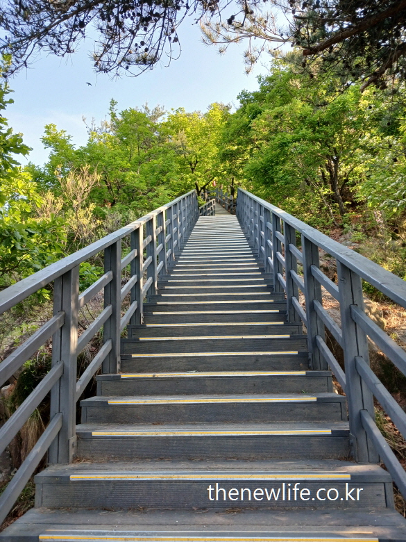 Sunlit steel stairs on the Achasan hiking trail- 햇살이 비치는 아차산의 철제 등산 계단