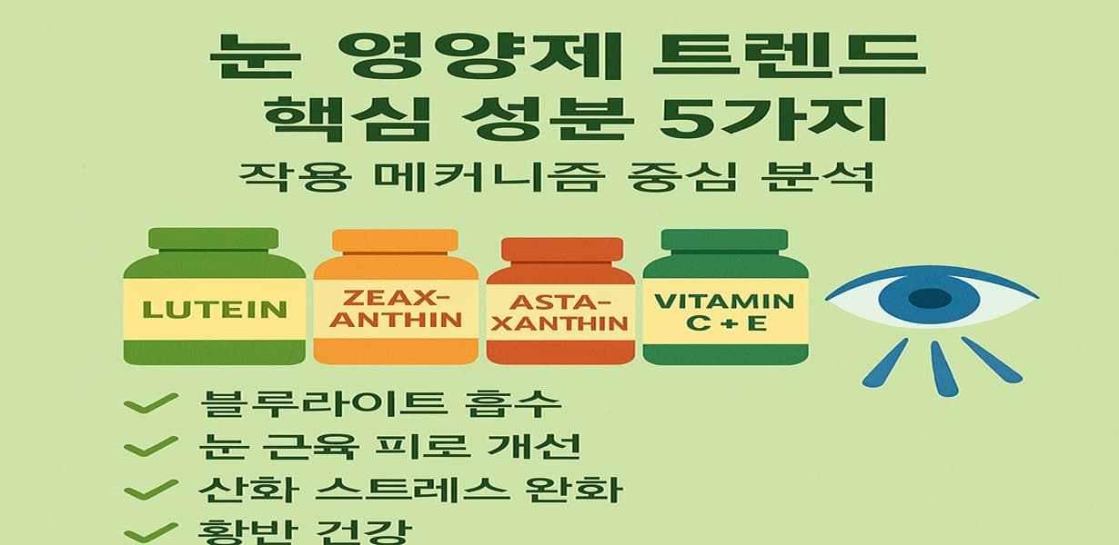 “루테인, 지아잔틴, 아스타잔틴, 비타민 C+E 보충제와 주요 기능을 정리한 블루라이트 차단 인포그래픽”