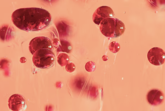 식도암 초기증상 28