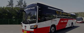 김해공항 리무진 버스 시간표