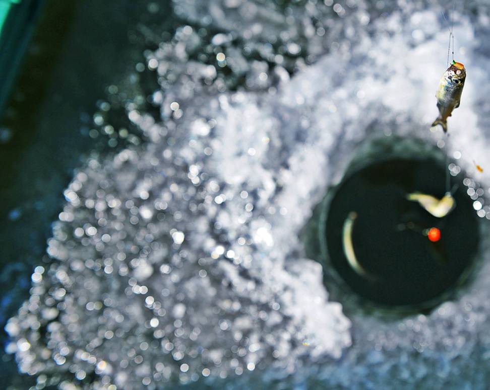 강화 양오 빙어축제 일정 현장 사진8