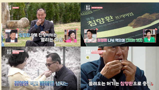 침향환 효능&amp;#44; 가격&amp;#44; 모든 것!(광동 침향환 집중 분석) 