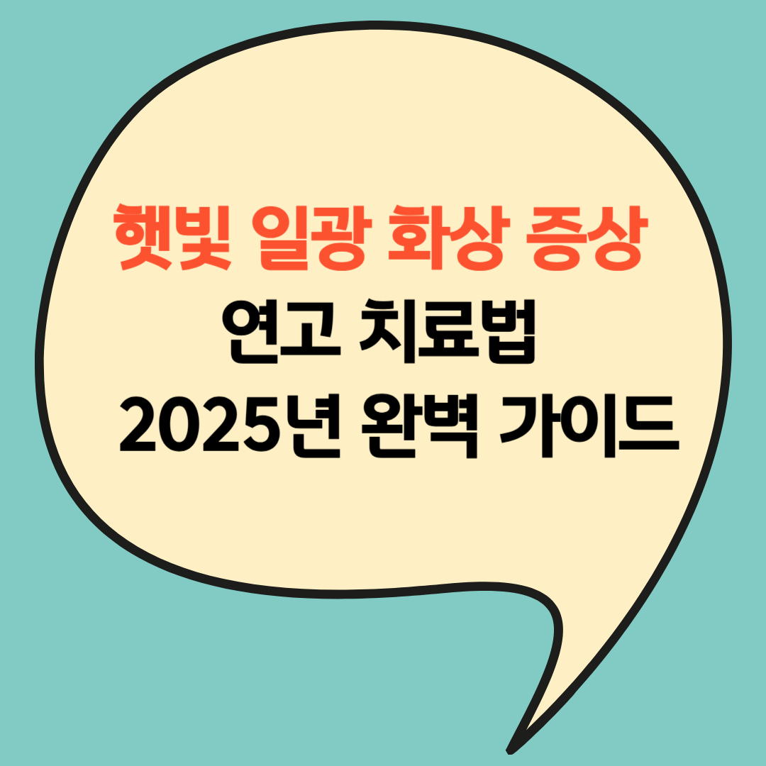 햇빛 일광 화상 증상
연고 치료법
2025년 완벽 가이드