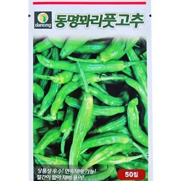 꽈리고추 찜 맛있게 만드는 법과 비법 레시피_4