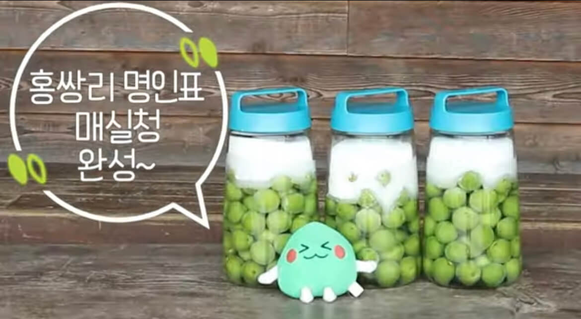 홍쌍리 매실청 담그는 법
