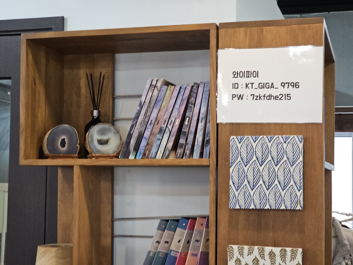 야옹이네 고양이 카페