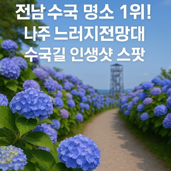 전남 수국 명소 1위! 나주 느러지전망대 수국길 인생샷 스팟