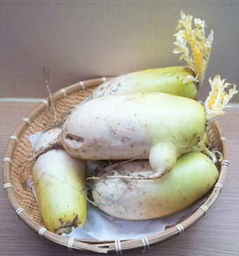 가을 무
