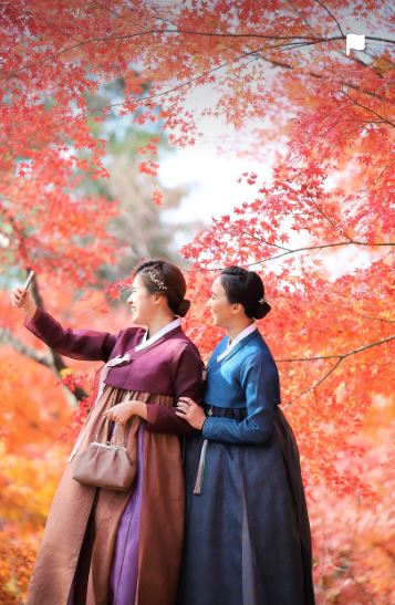 한복 디테일 예시 사진