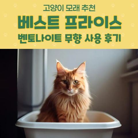 베스트 프라이스 벤토나이트 무향