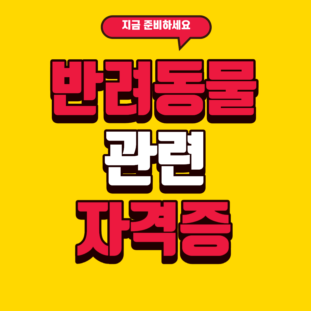 반려동물 자격증 준비하기