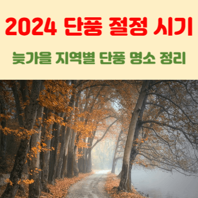 2024-단풍-절정-시기