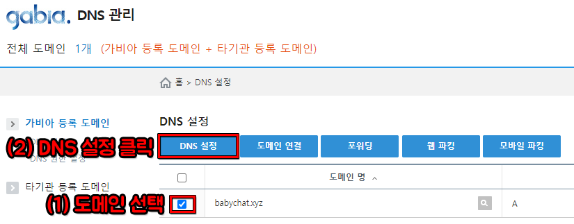 DNS 설정을 위한 도메인 선택 예시 화면