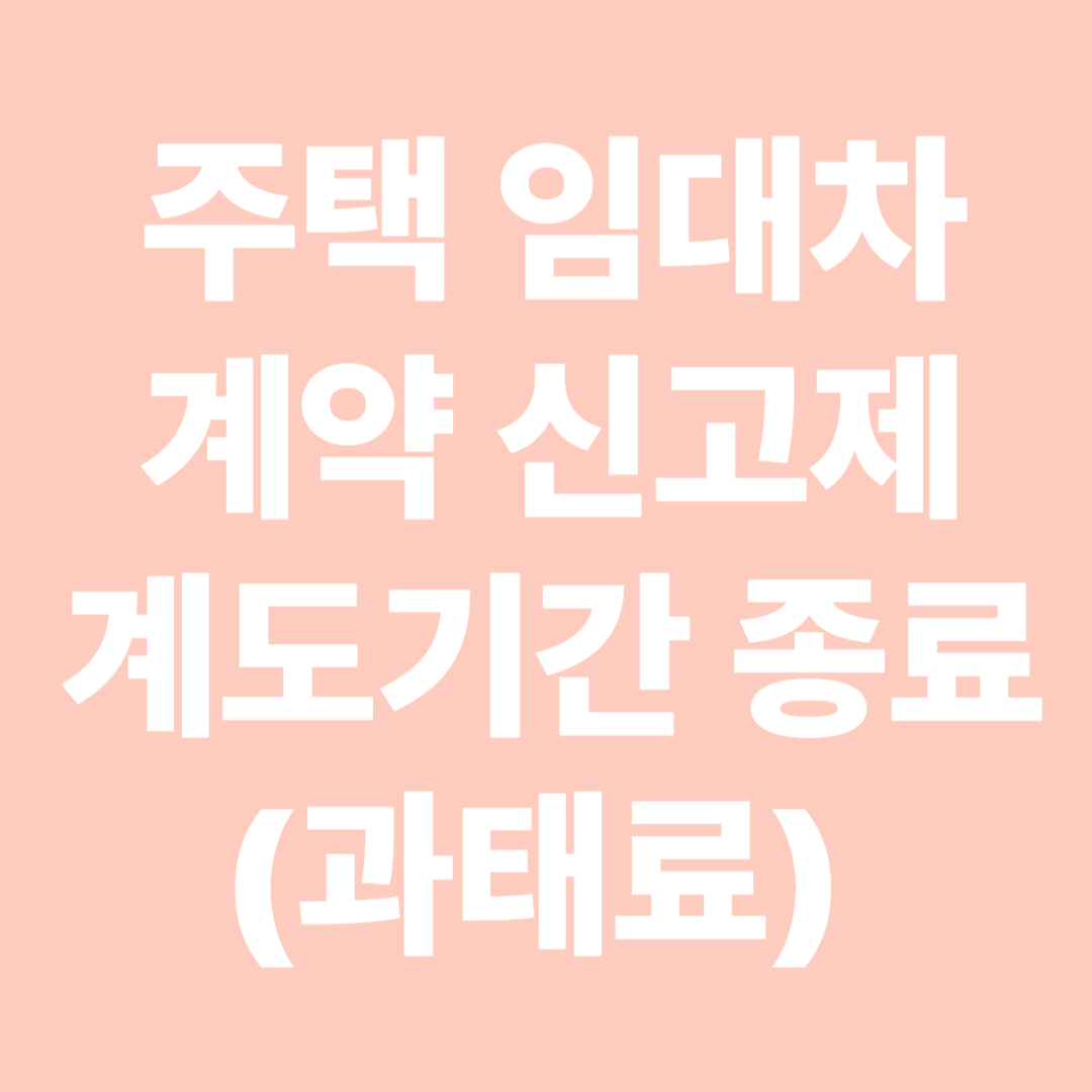 주택임대차계약신고제 계도 기간 종료