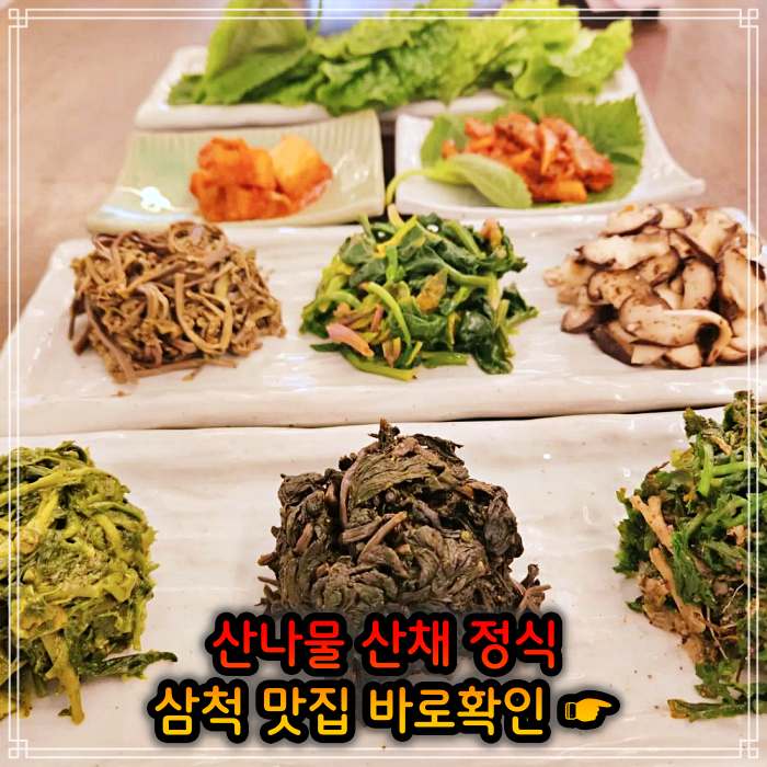 강원 삼척 맛집 산나물 청국장 산채 나물 백반 정식